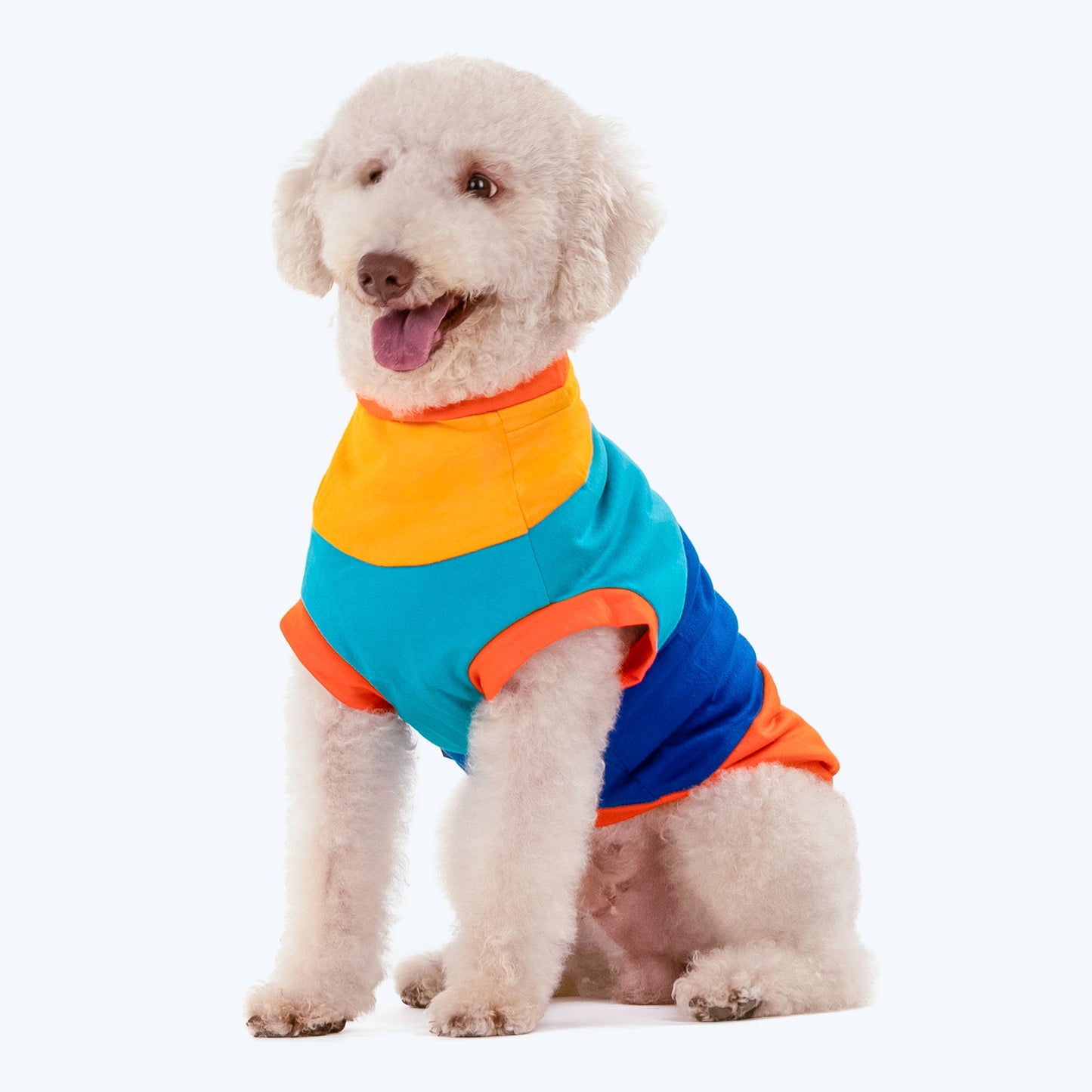 HUFT Sunny Party Vest For Dogs - Multicolour - Heads Up For Tails