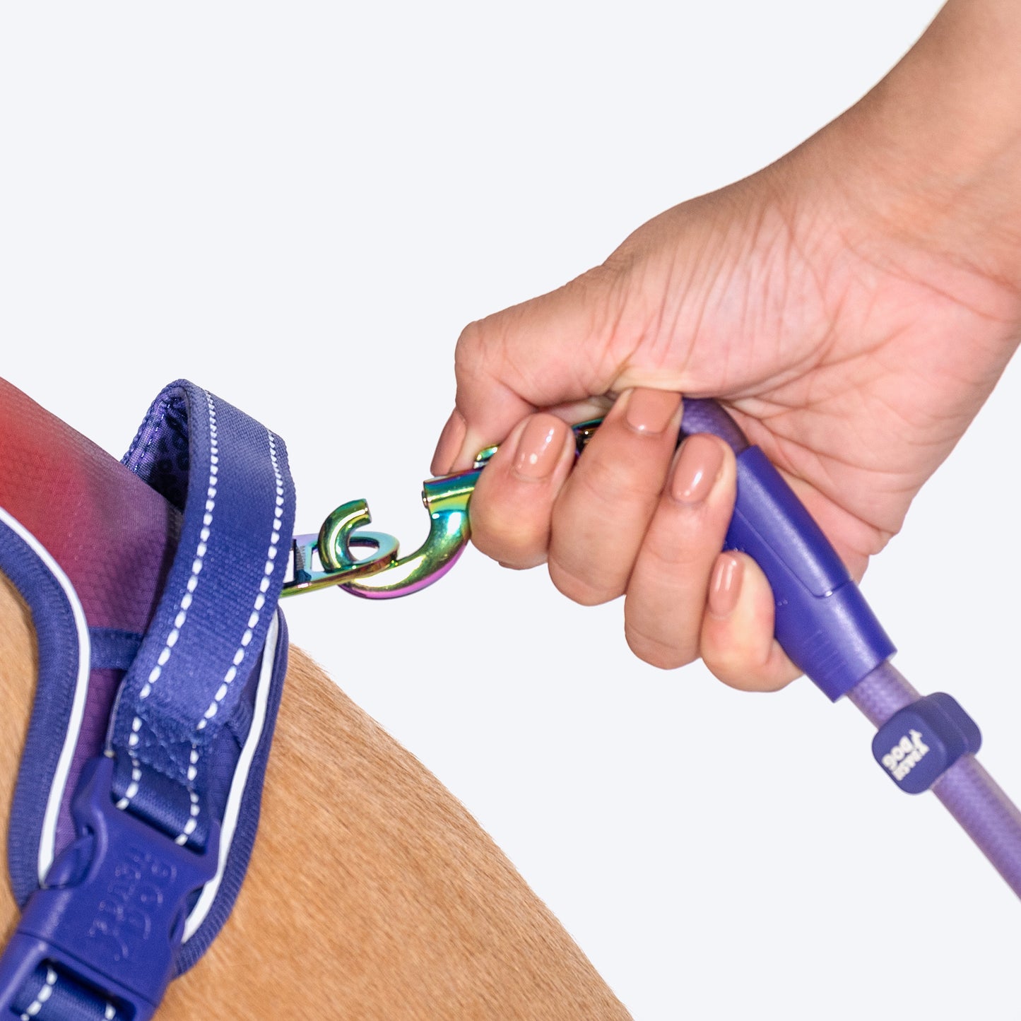 Dash Dog Flow Walk-Along Harness For Dog - Red & Purple - Heads Up For Tails