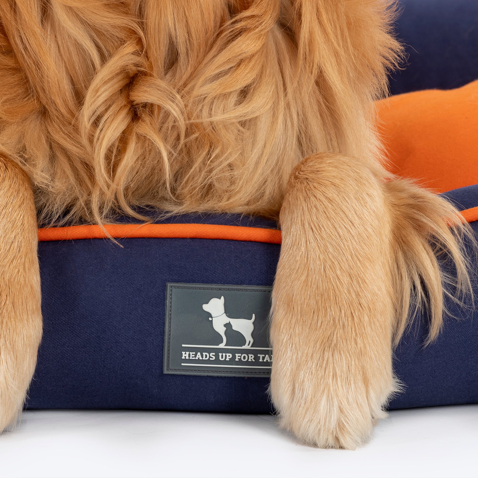 HUFT Woofie Classic Lounger Bed For Dog - Blue & Orange - Heads Up For Tails