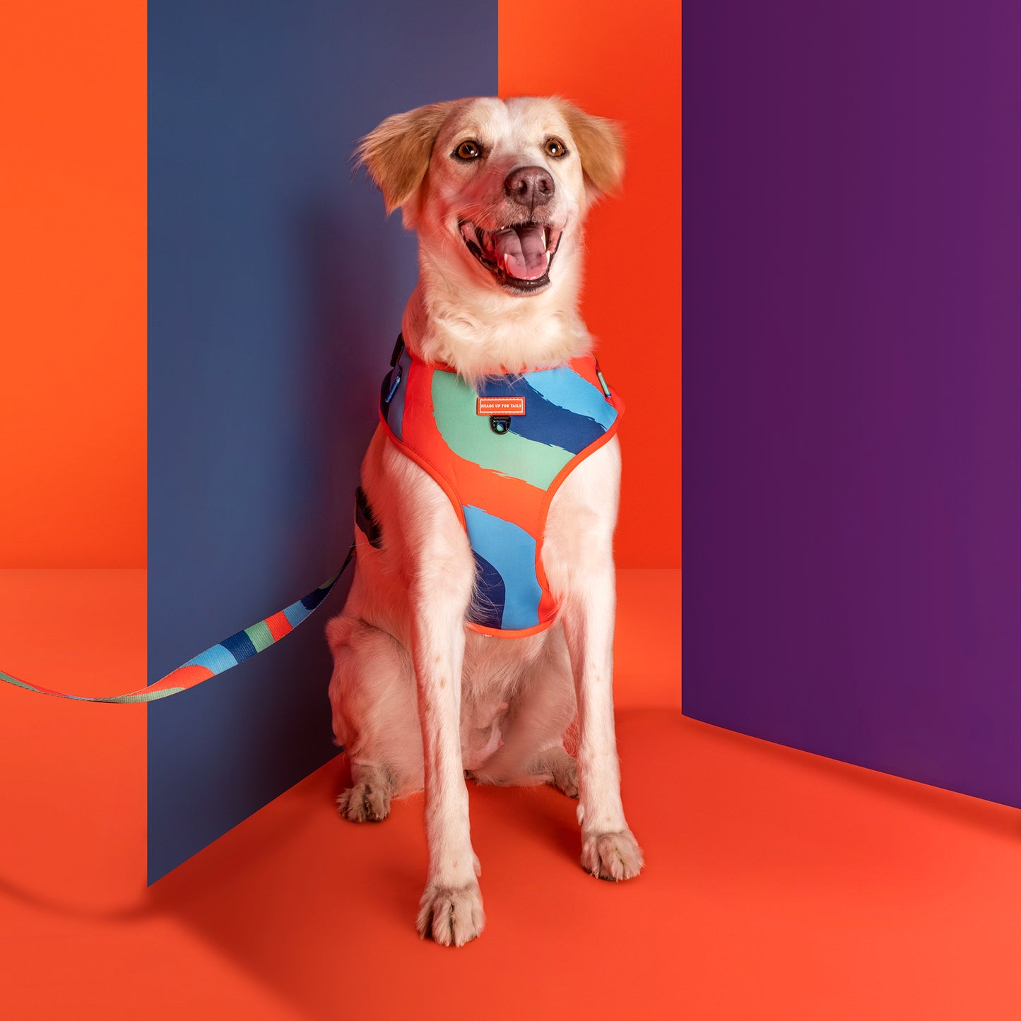 HUFT Wild Waves Dog Adjustable Harness - Heads Up For Tails