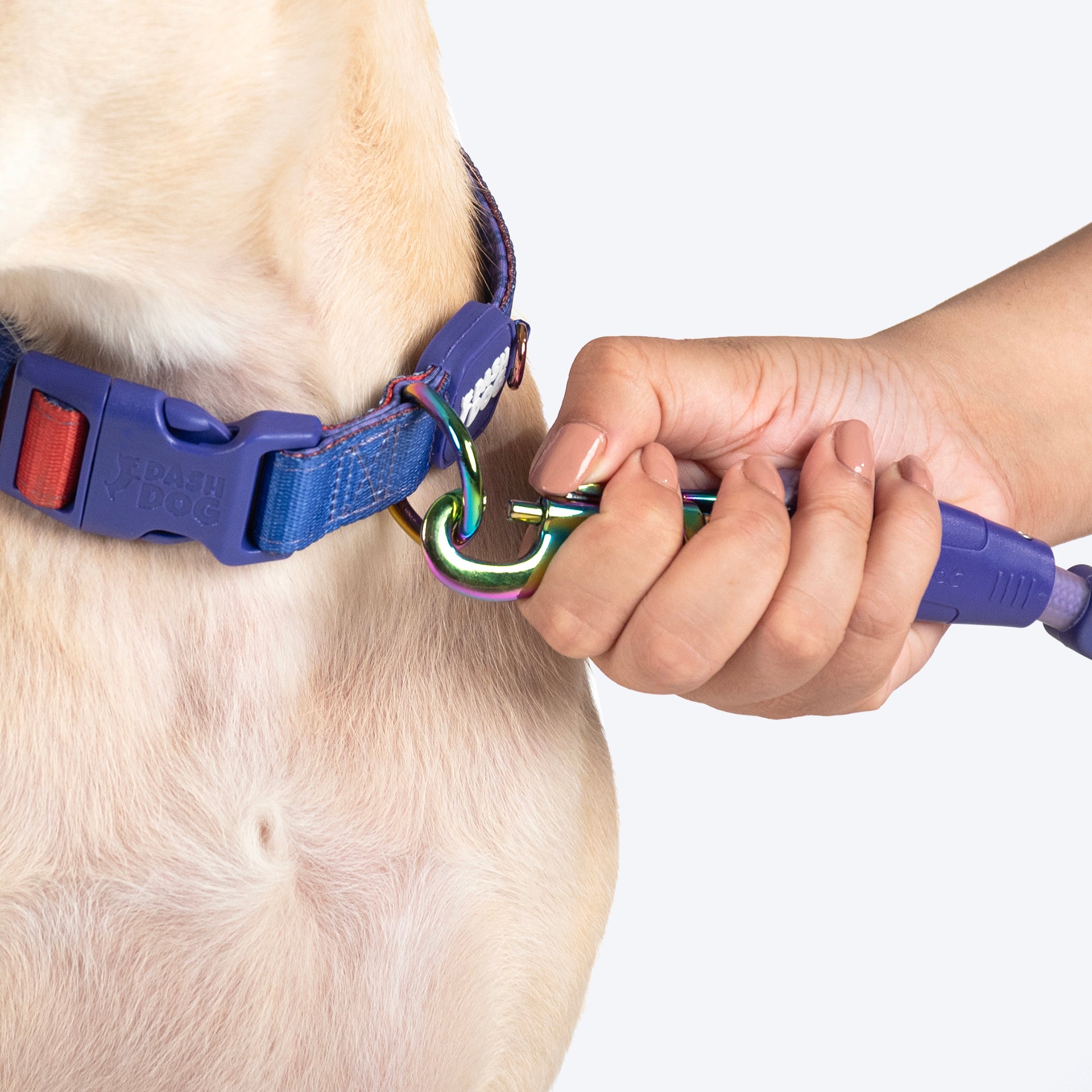 Dash Dog Flow Padded Collar For Dog - Red & Purple - Heads Up For Tails