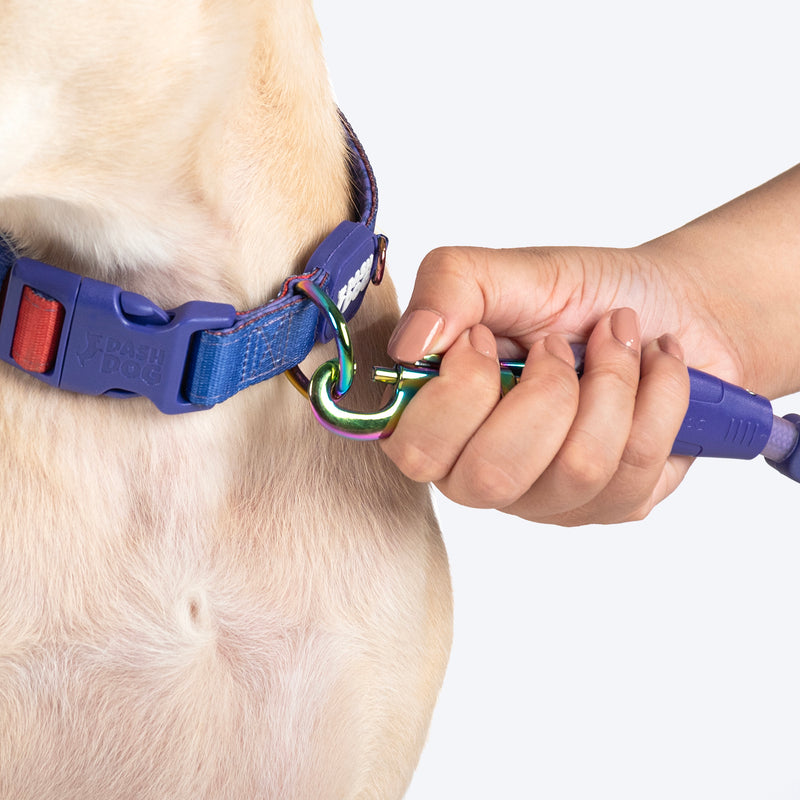 Dash Dog Flow Padded Collar For Dog - Red & Purple - Heads Up For Tails