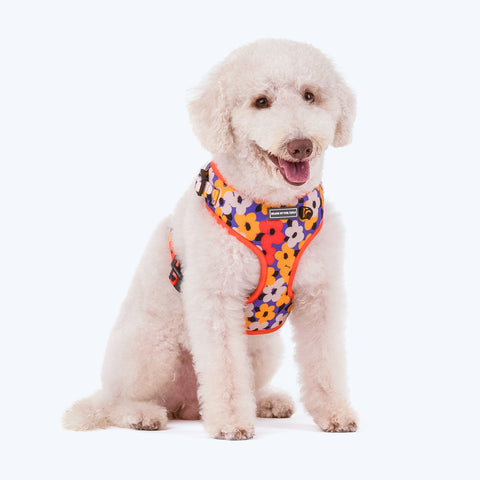 HUFT Misfit Meadow Adjustable Dog Harness - Purple_01