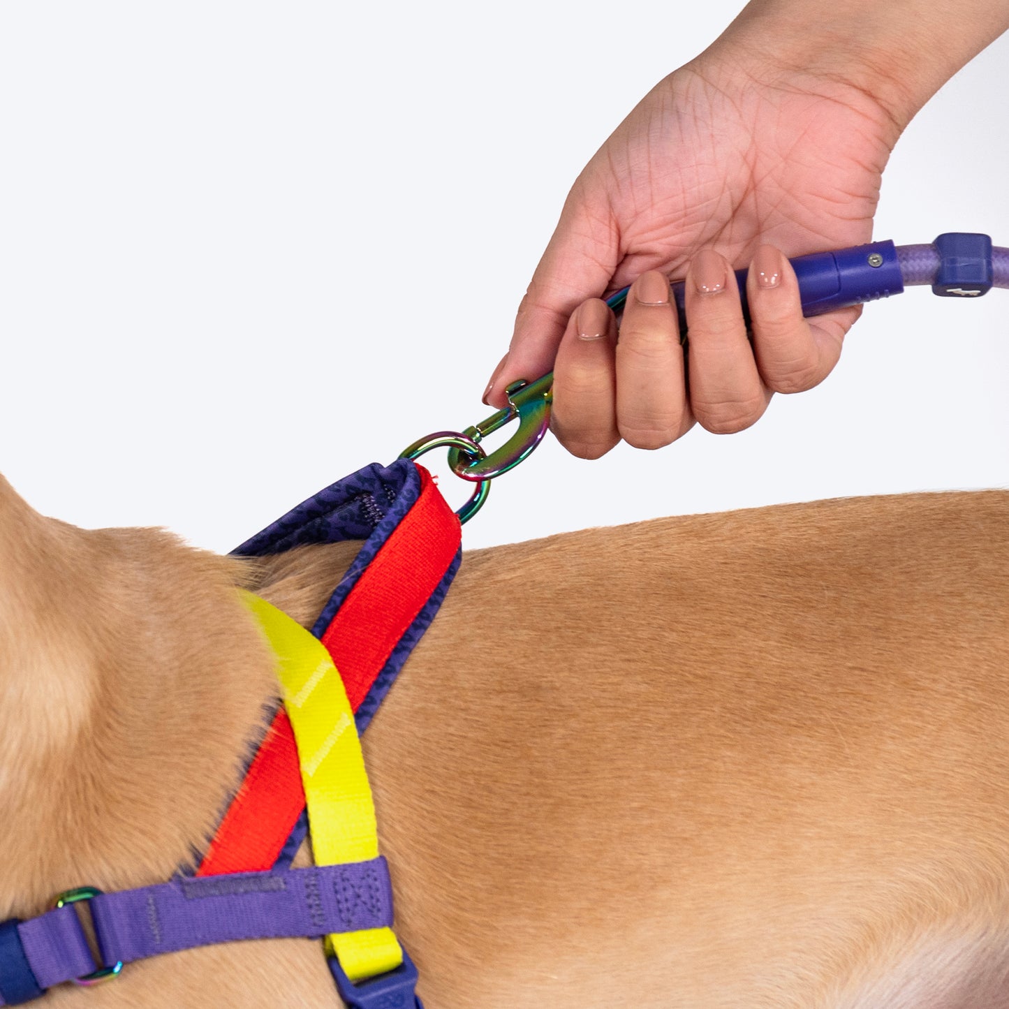 Dash Dog On-The-Go Harness For Dog - Red - Heads Up For Tails