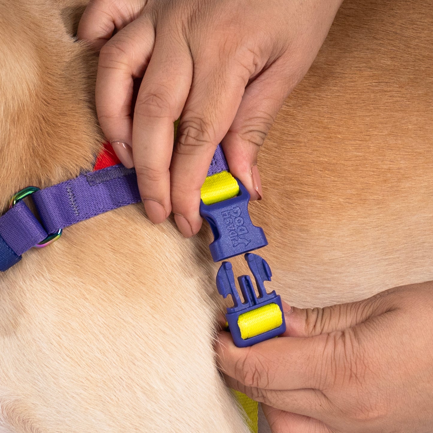 Dash Dog On-The-Go Harness For Dog - Red - Heads Up For Tails