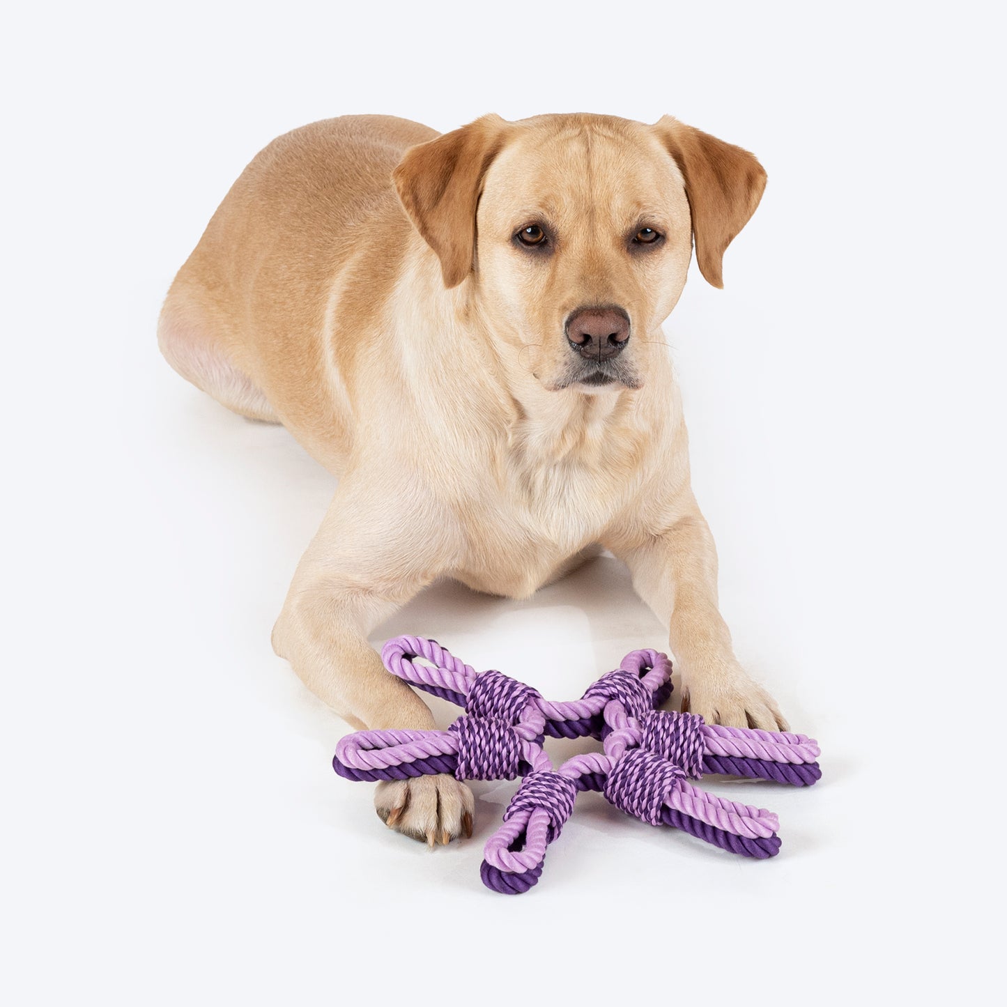 Dash Dog Sixer Trickster Rope Toy For Dog - Purple_02
