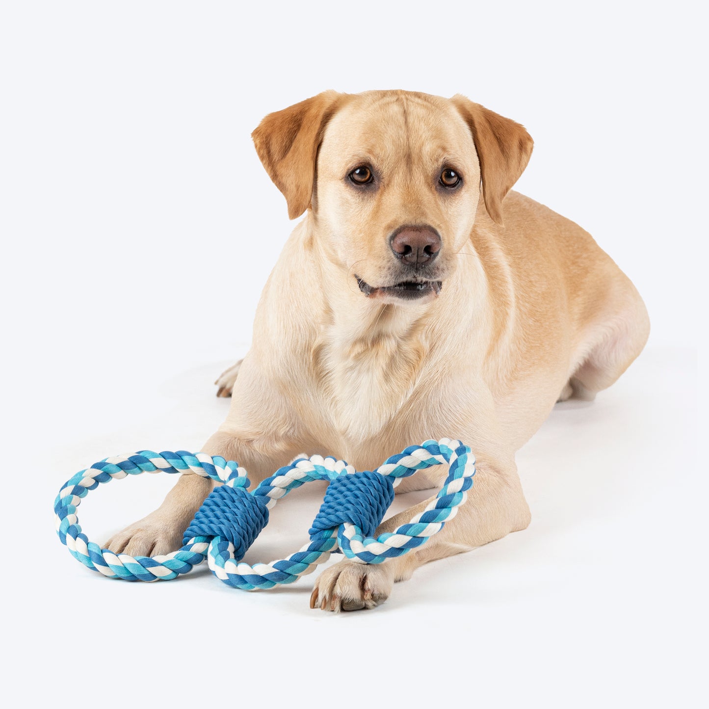 Dash Dog Trio Looparoo Rope Toy For Dog - White & Turquoise_02