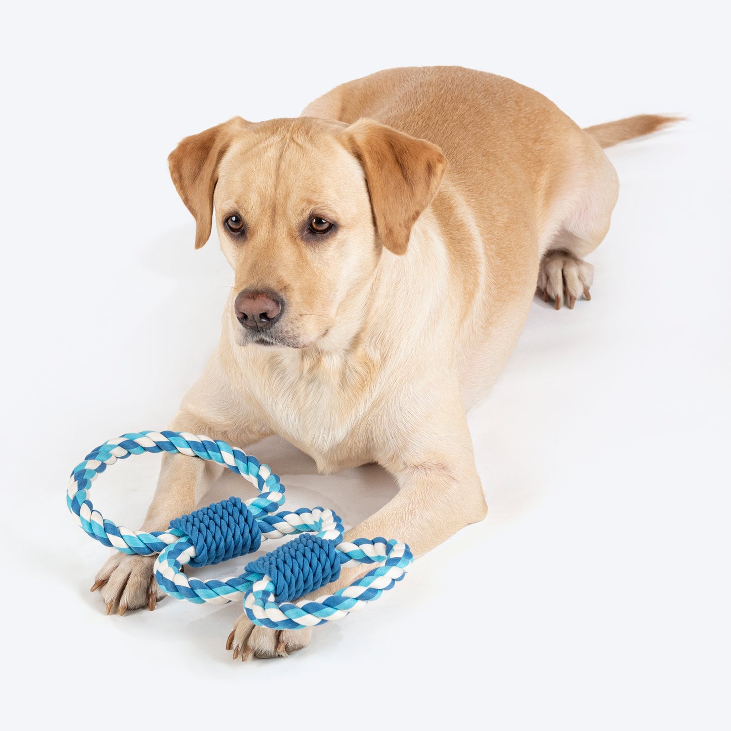 Dash Dog Trio Looparoo Rope Toy For Dog - White & Turquoise - Heads Up For Tails