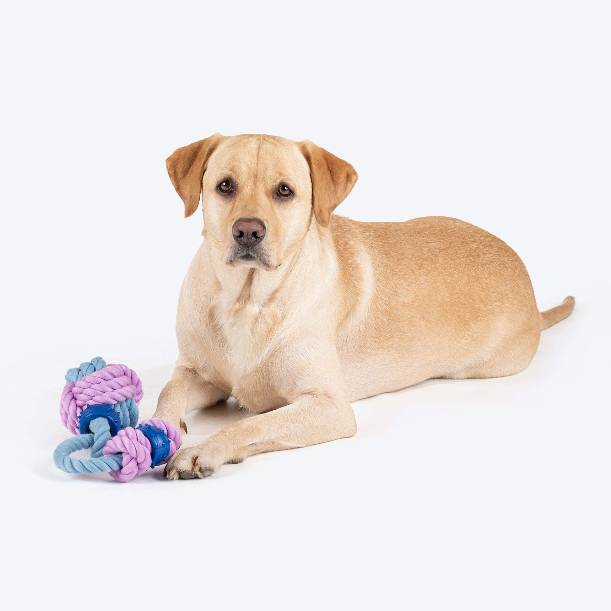 Dash Dog Baller Blast Rope Toy For Dog - Multicolor_02
