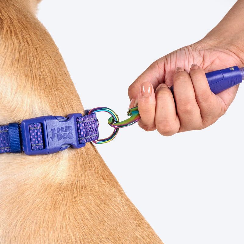 Dash Dog Dotty Padded Collar For Dog - Purple - Heads Up For Tails
