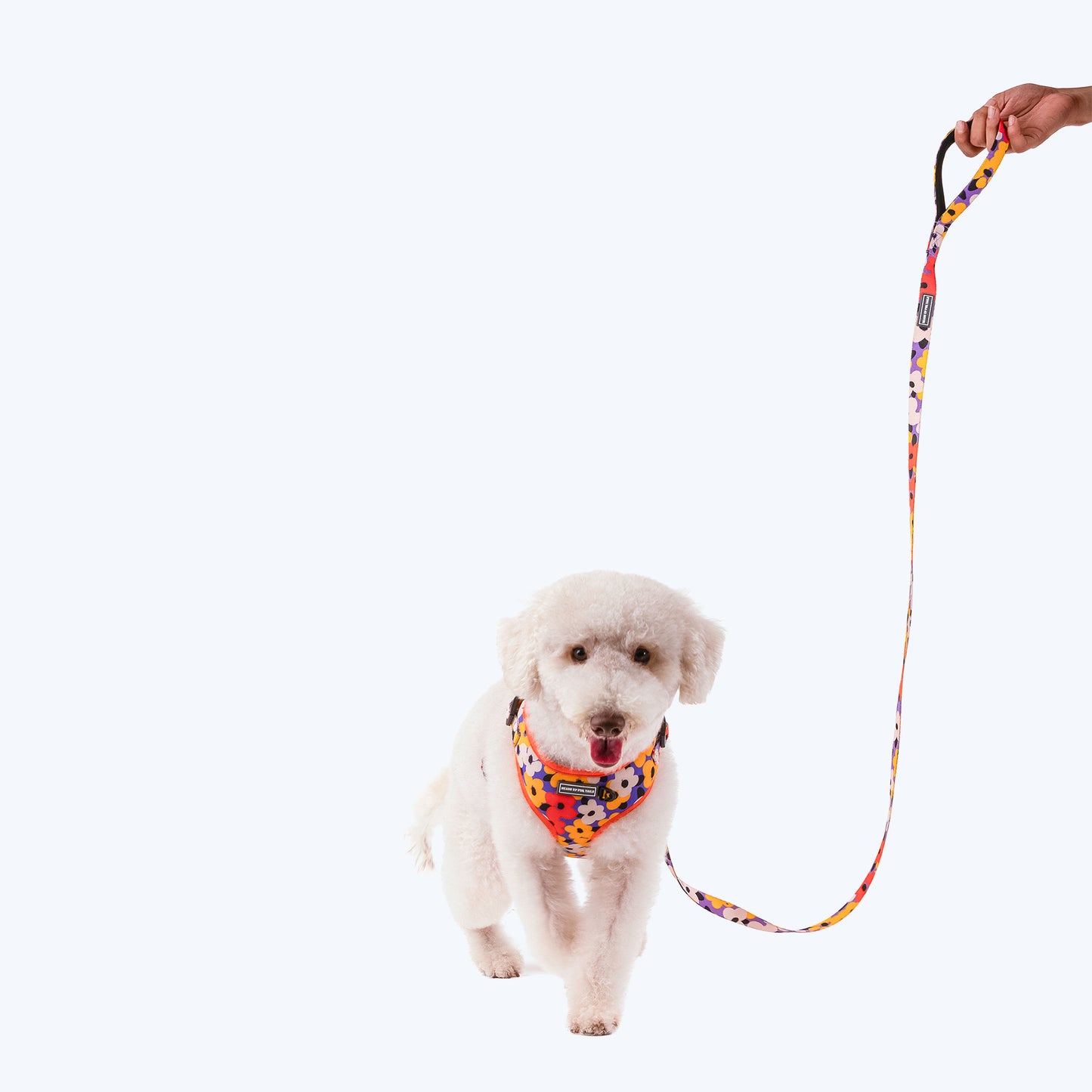 HUFT Misfit Meadow Printed Dog Leash - Purple_07