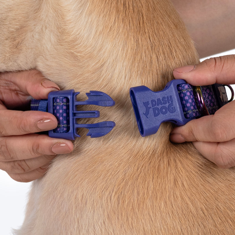 Dash Dog Dotty Padded Collar For Dog - Purple - Heads Up For Tails