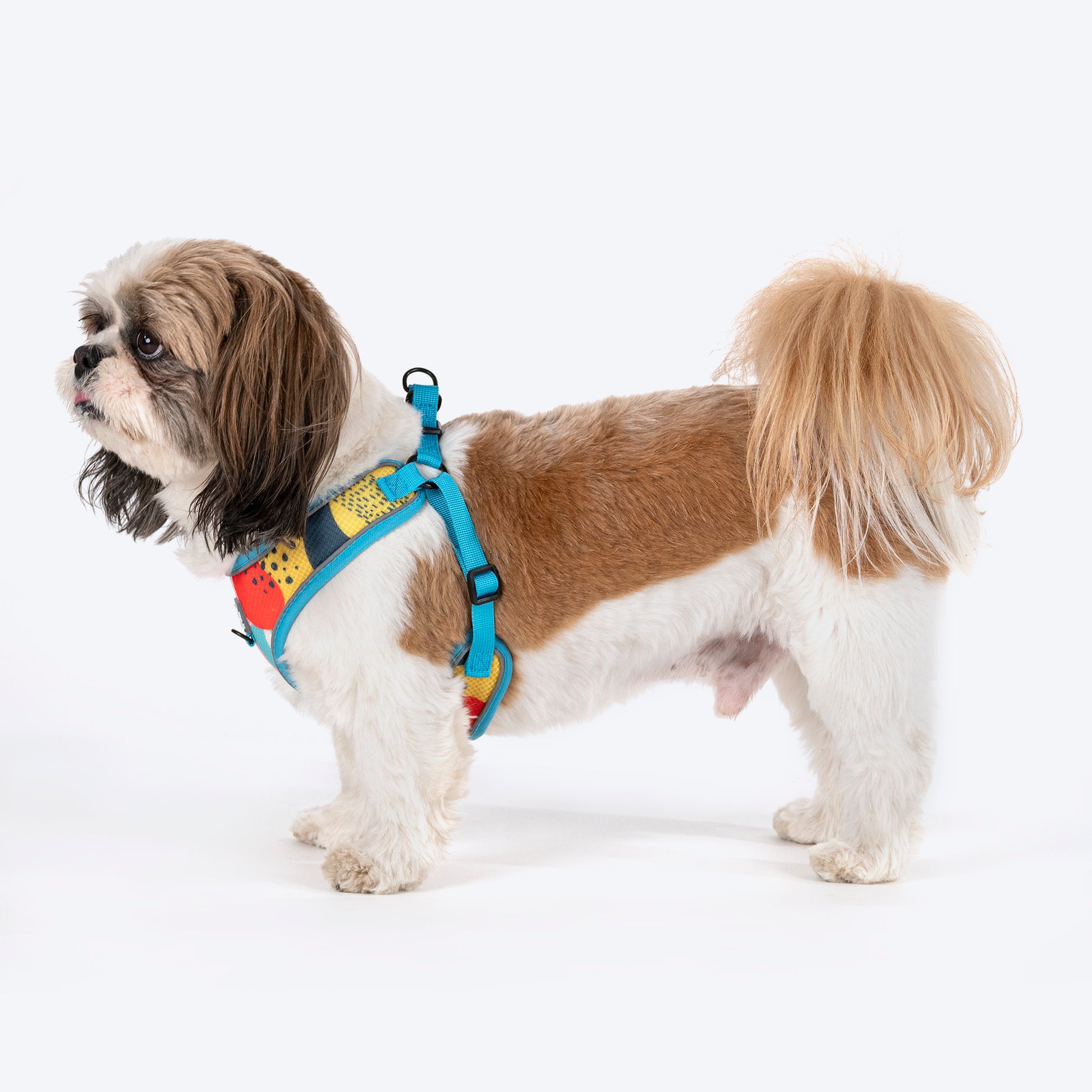 HUFT Free Flow Step-In Harness Set For Dogs - Abstract - Heads Up For Tails