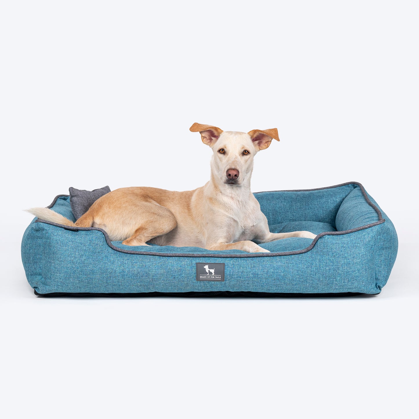 HUFT Personalised Nap Now Lounger Bed For Dog - Aqua Blue - Heads Up For Tails