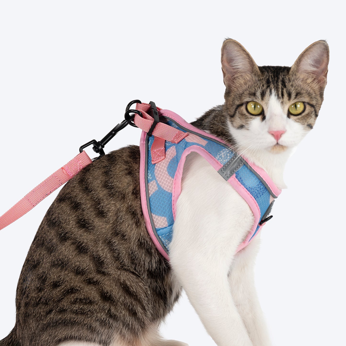HUFT Easy Breezy Step-In Harness & Leash Set For Cat - Crescent Blue - Heads Up For Tails