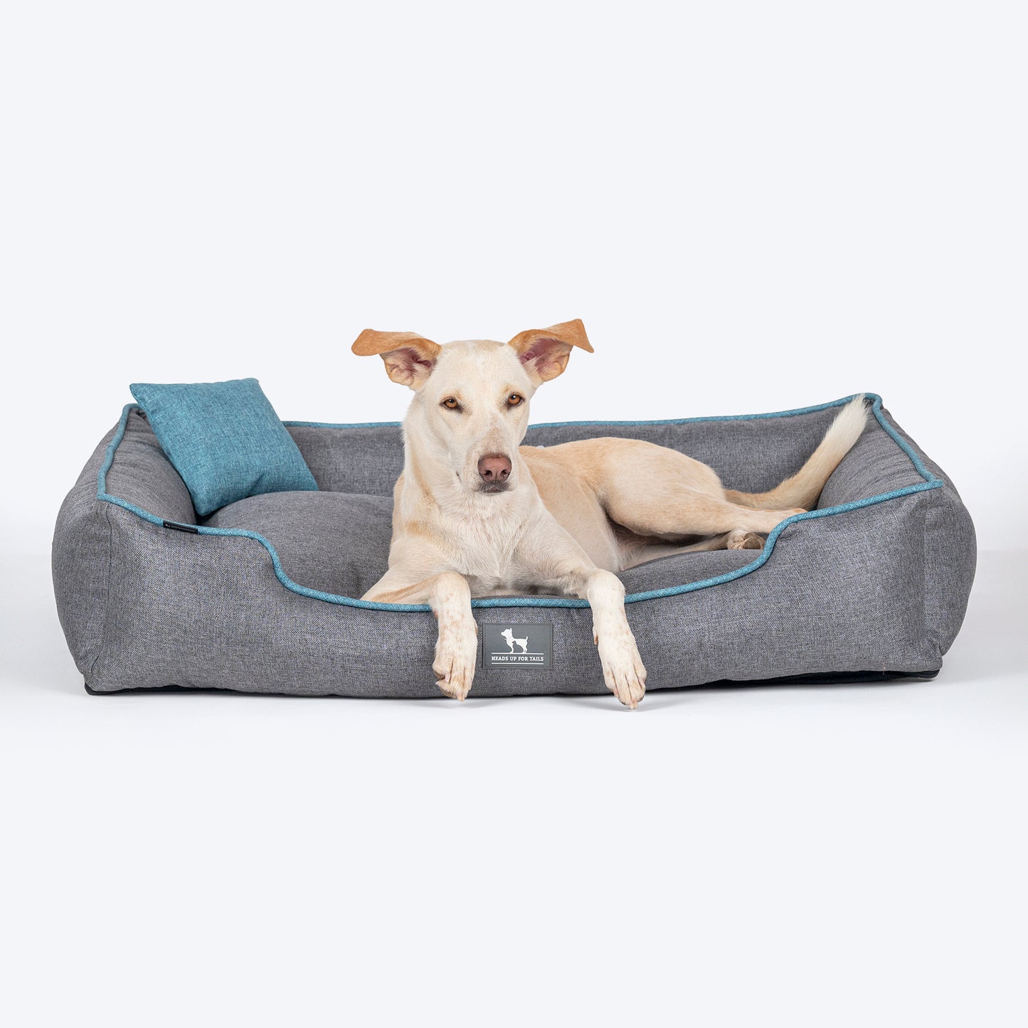 HUFT Personalised Nap Now Lounger Bed For Dog - Grey - Heads Up For Tails