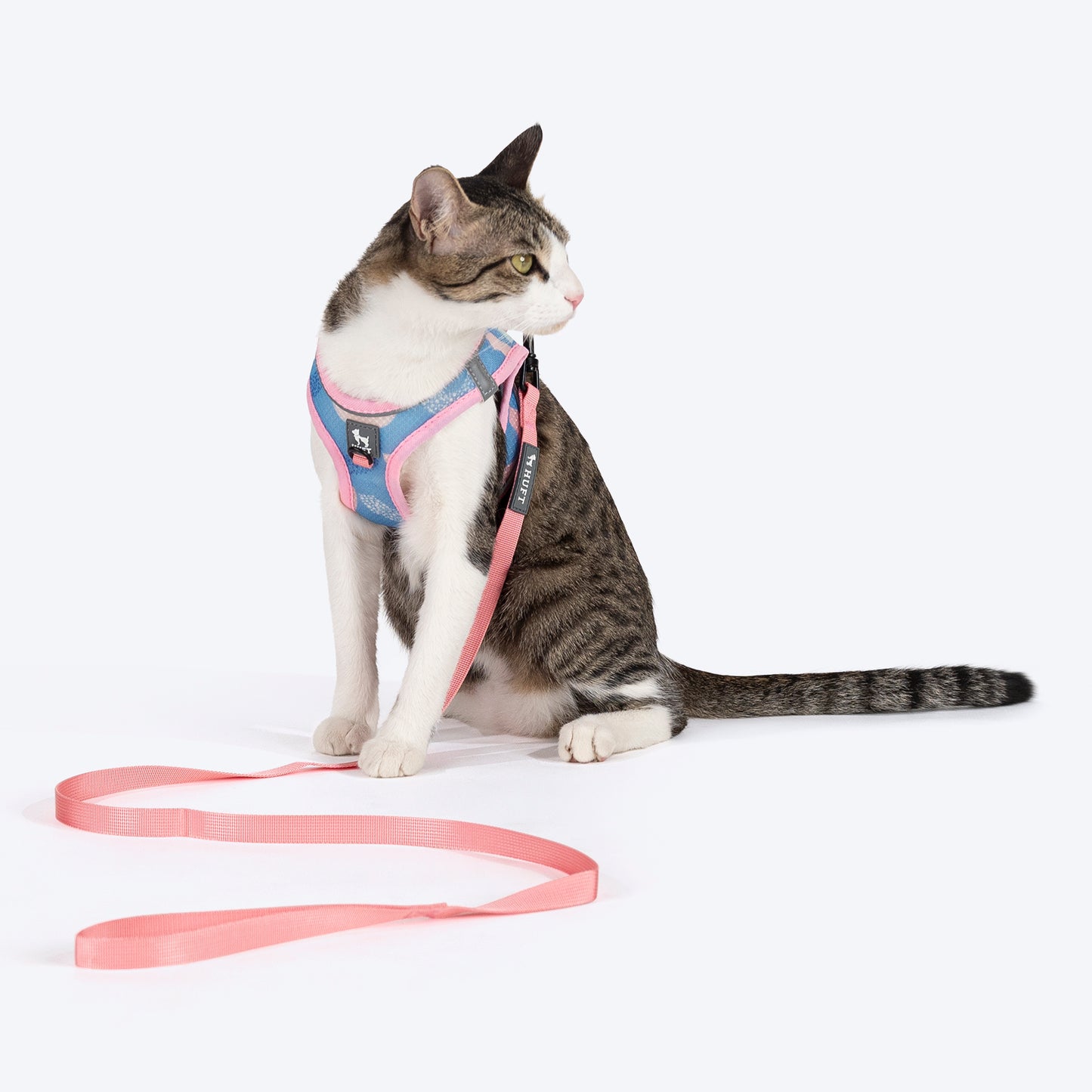 HUFT Easy Breezy Step-In Harness & Leash Set For Cat - Crescent Blue - Heads Up For Tails
