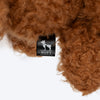 HUFT Larry Long Ears Squeaky Plush Toy For Dog - Brown - Heads Up For Tails