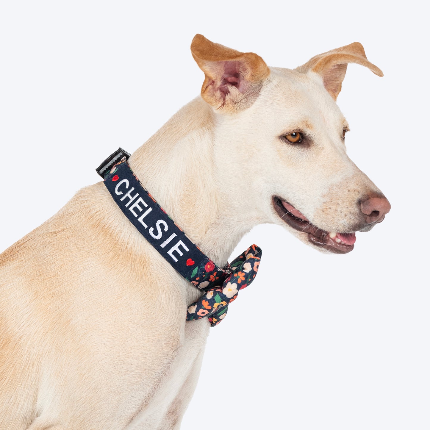 HUFT Personalised Floral Fusion Fabric Collar With Free Bow Tie For Dog - Ink Blue - Heads Up For Tails