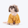 HUFT Customised Golden Radiance Sherwani For Dog & Cat - Yellow