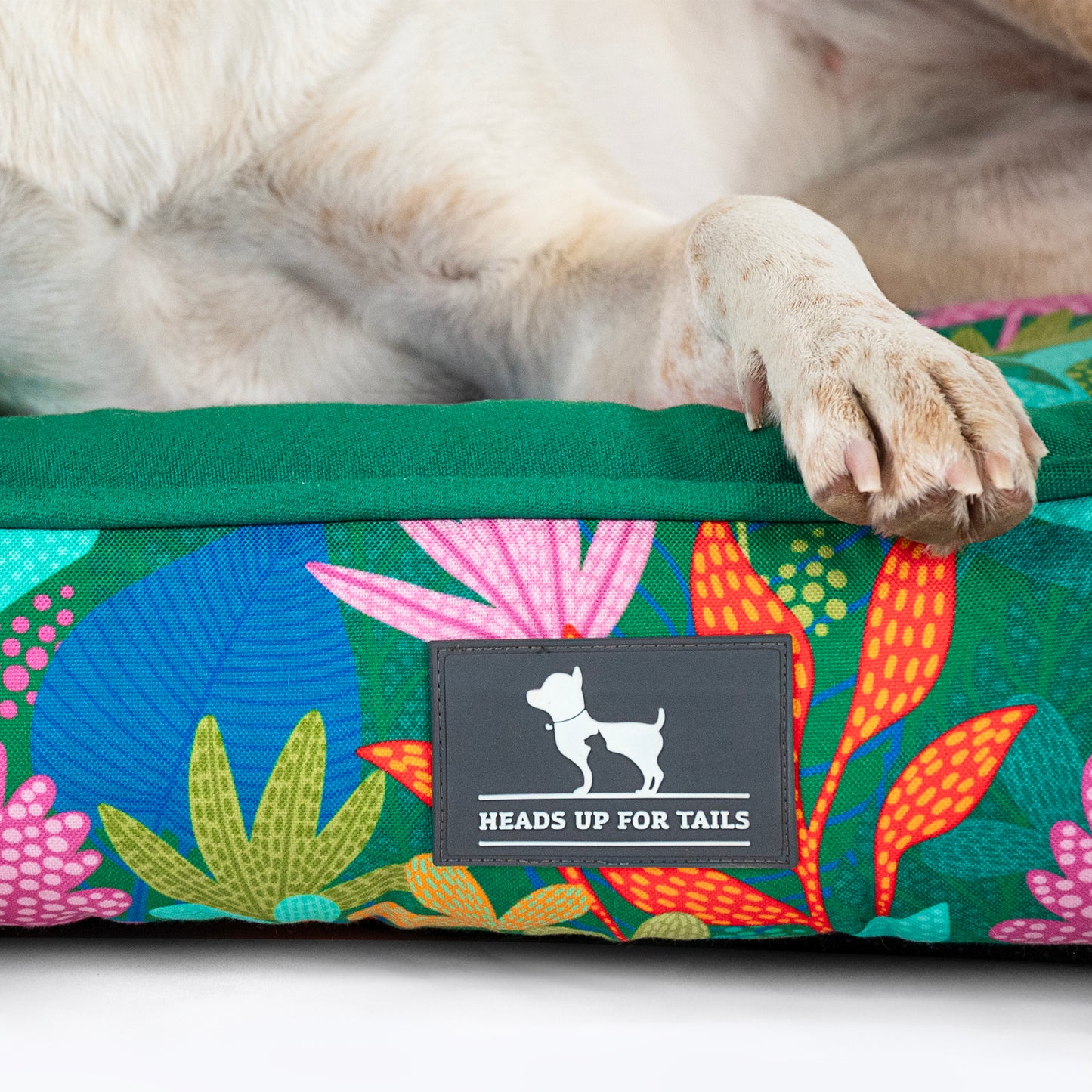 HUFT Rainbow Grove Personalised Lounger Bed For Dog - Dark Green - Heads Up For Tails