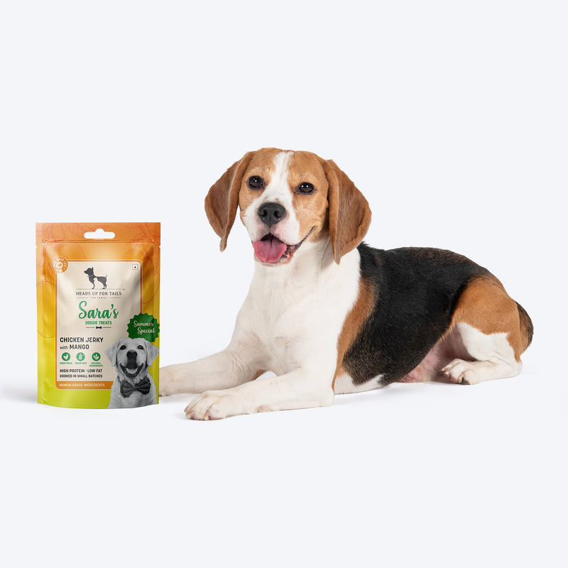 Sara's Doggie Treats Mango Chicken Jerky, 70 g, features high-protein, grain-free treats with natural ingredients.