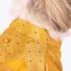 HUFT Customised Golden Radiance Sherwani For Dog & Cat - Yellow