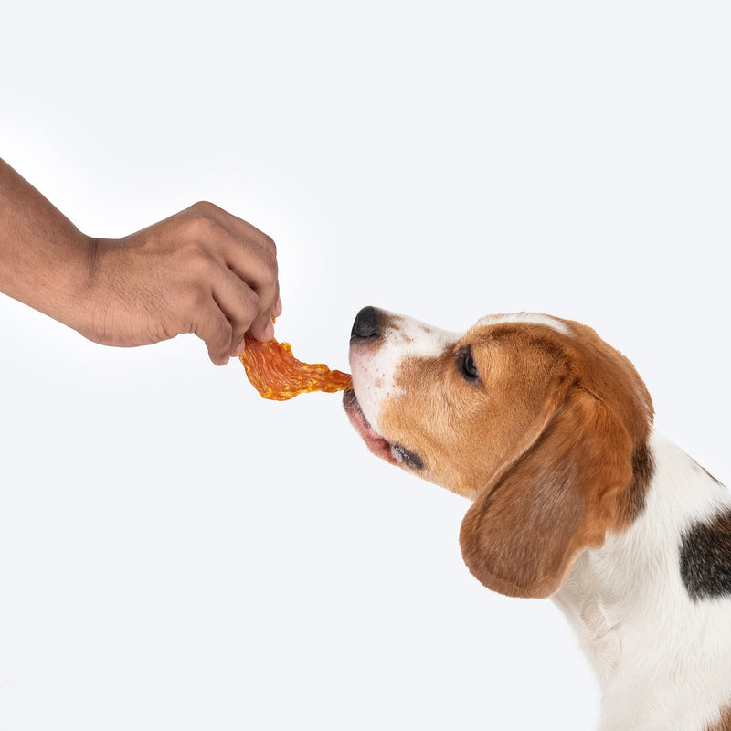Sara's Doggie Treats Mango Chicken Jerky, 70 g, features high-protein, grain-free treats with natural ingredients.
