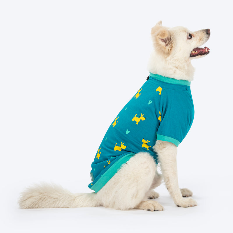 HUFT Snuggle Squad Printed T-Shirt For Dog - Teal - Heads Up For Tails