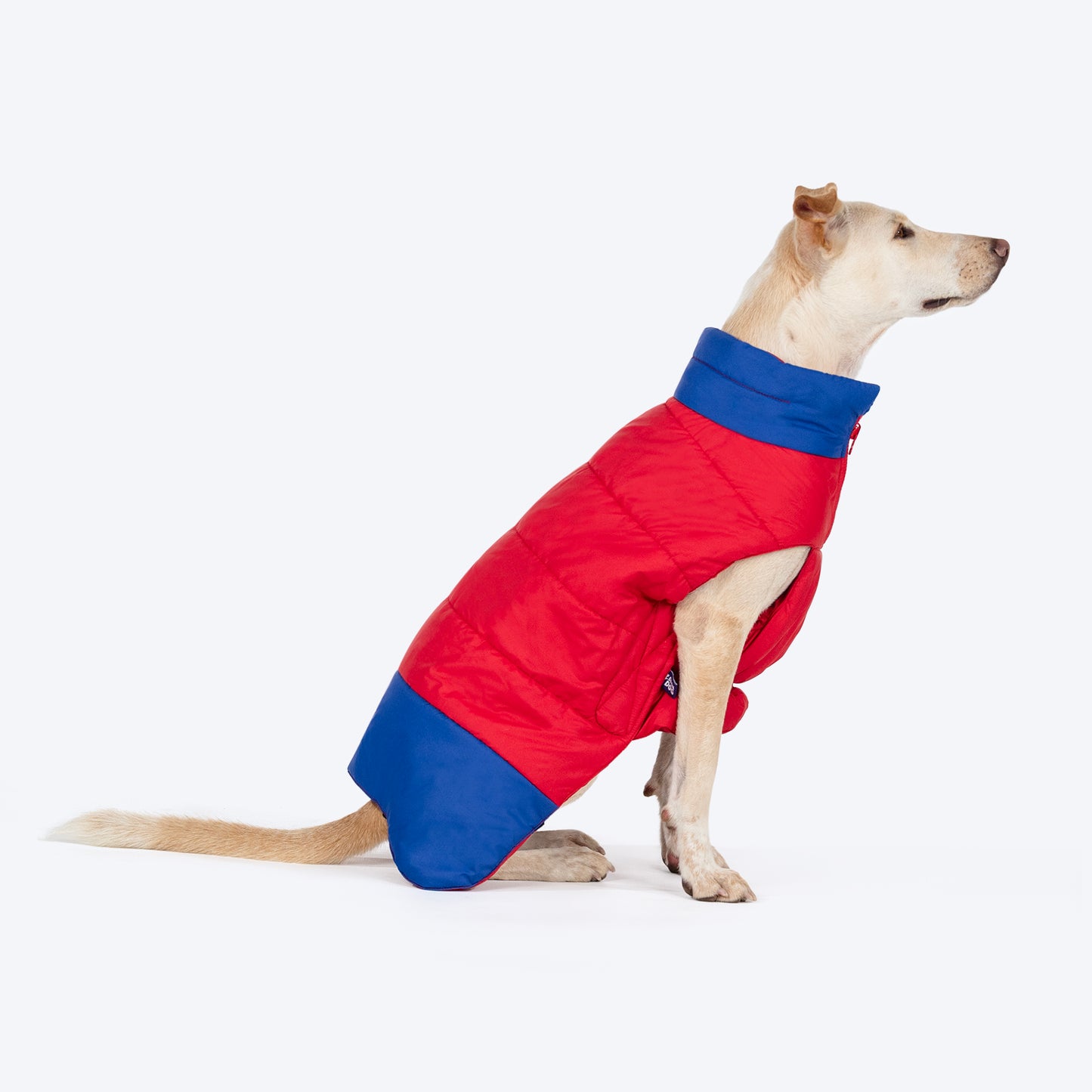 Dash Dog Outbounders Puffer Jacket For Dog - Red & Blue - Heads Up For Tails