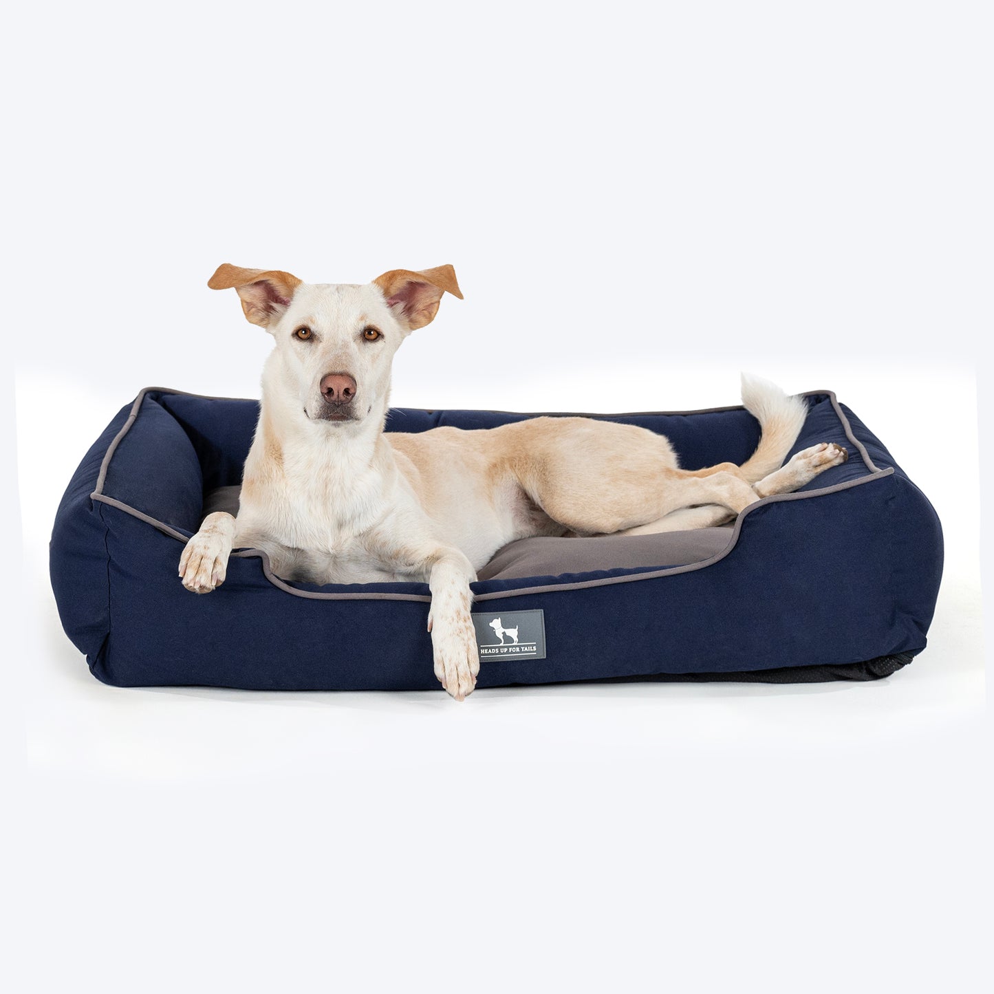 HUFT Classic Lounger Dog Bed - Grey & Navy - Heads Up For Tails