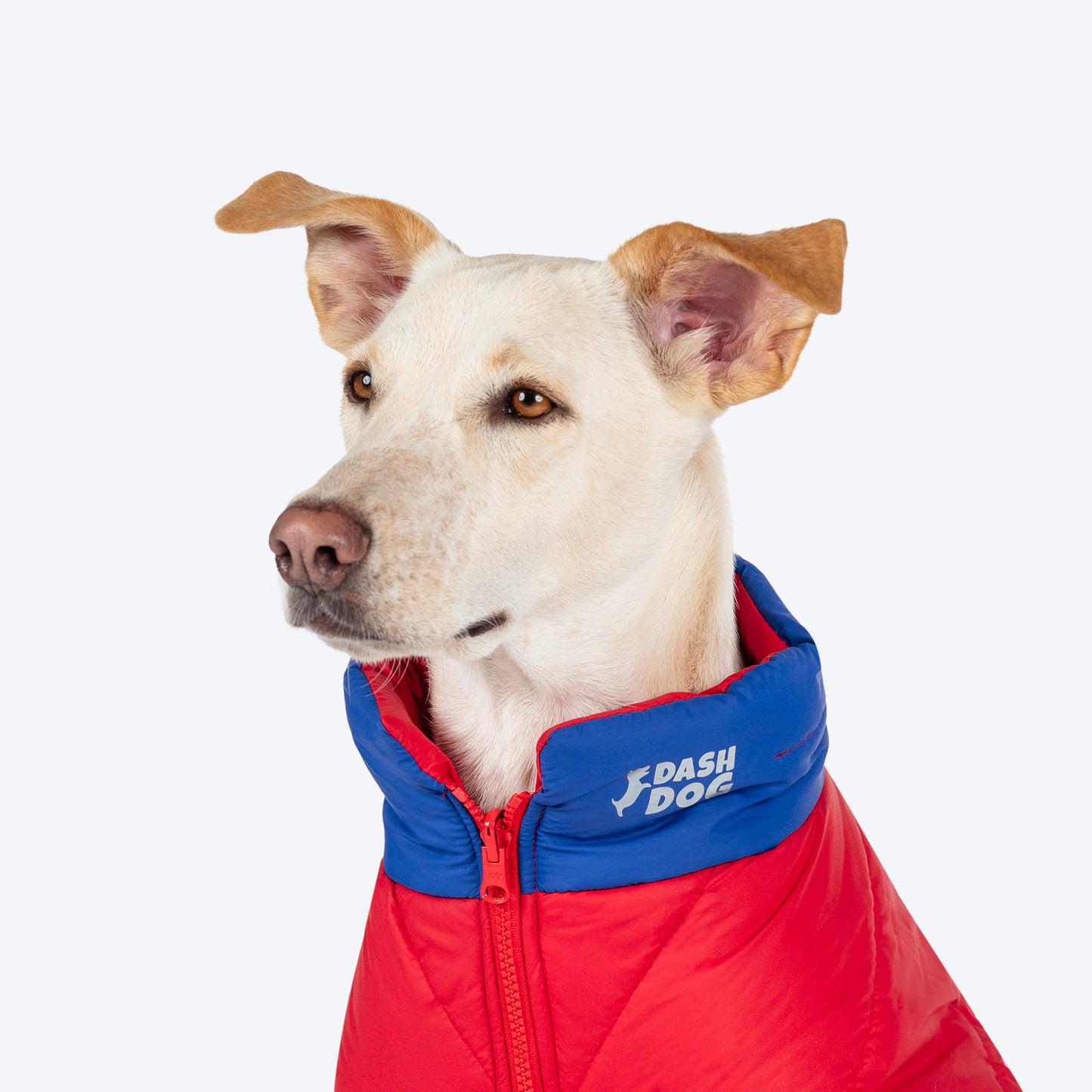 Dash Dog Outbounders Puffer Jacket For Dog - Red & Blue - Heads Up For Tails