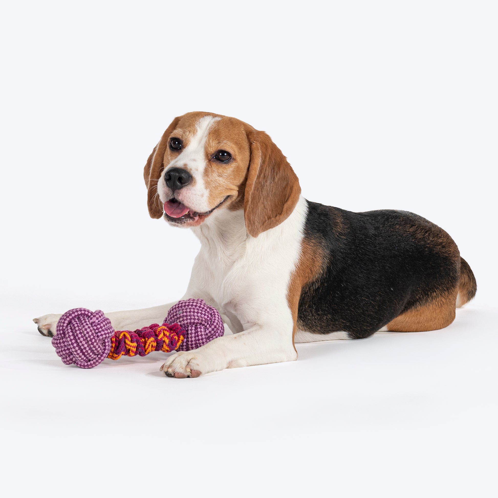 Dash Dog Double Trouble Bungee Rope Toy For Dog - Pink - Heads Up For Tails