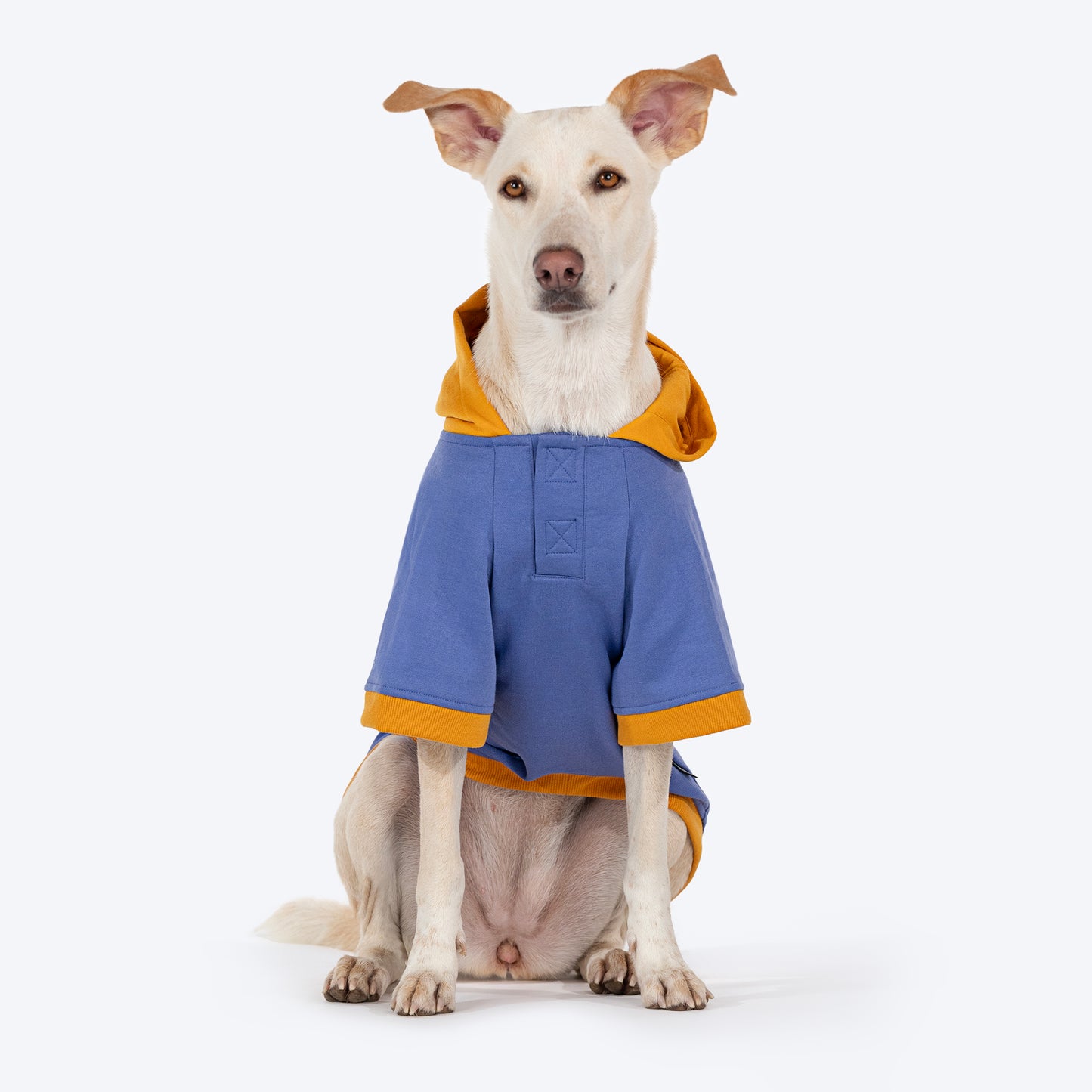 HUFT Wag More Worry Less Colour Block Hoodie Pet Sweatshirt - Blue - Heads Up For Tails