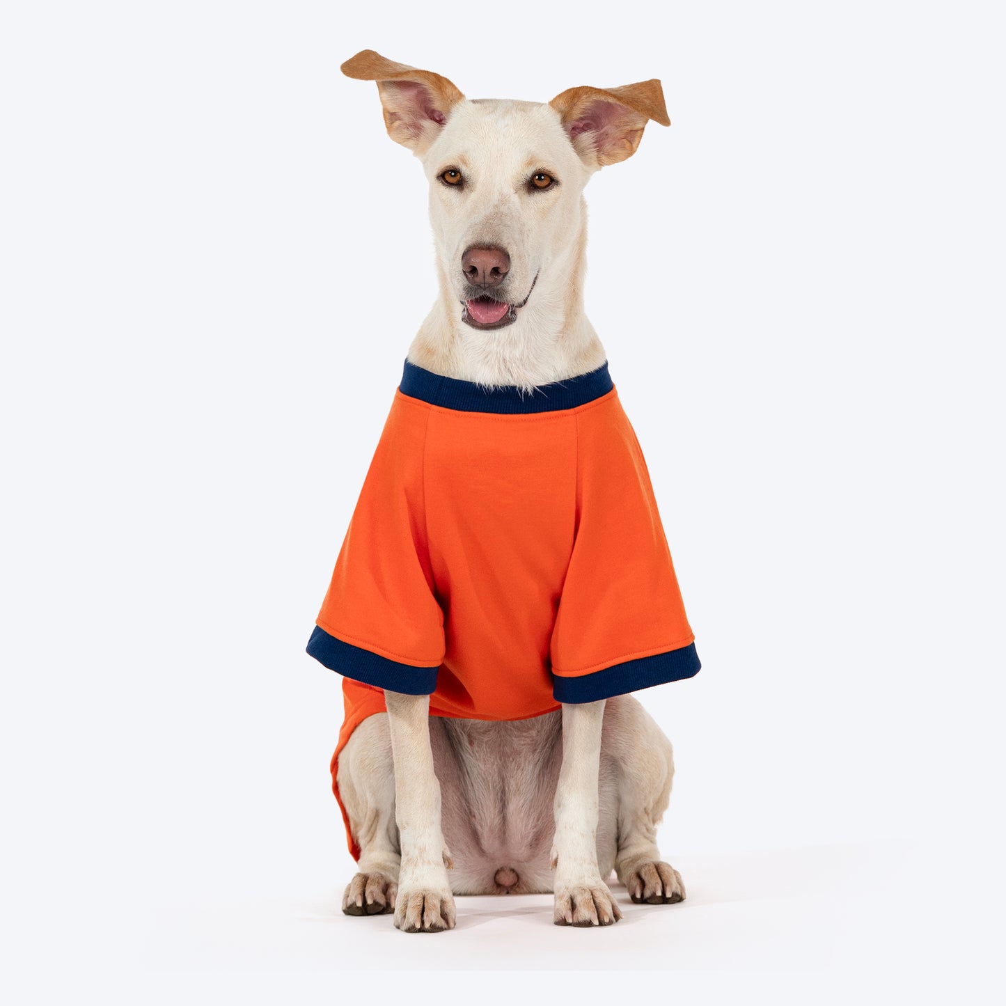 HUFT Good Doggo Pet Sweatshirt - Orange - Heads Up For Tails