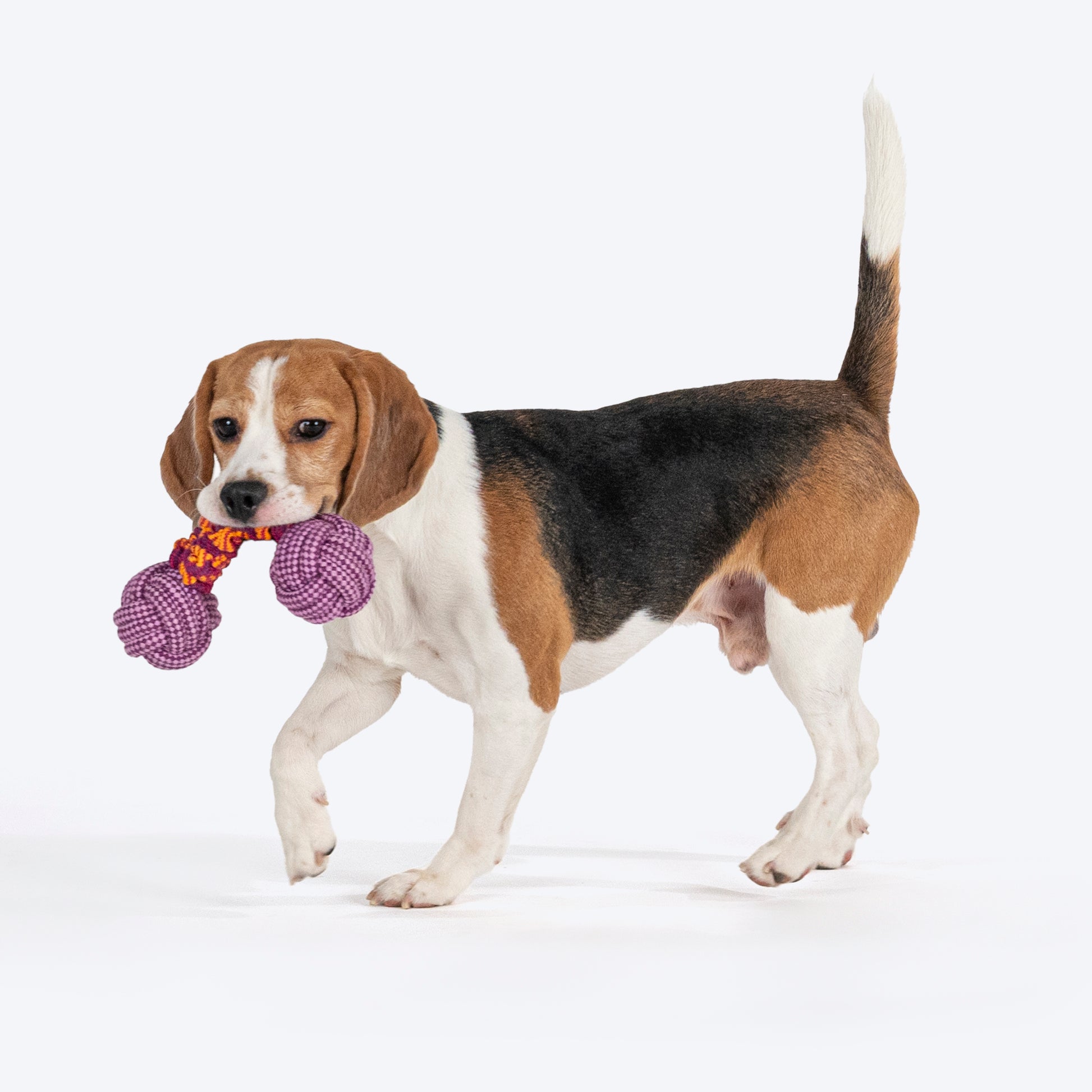 Dash Dog Double Trouble Bungee Rope Toy For Dog - Pink - Heads Up For Tails