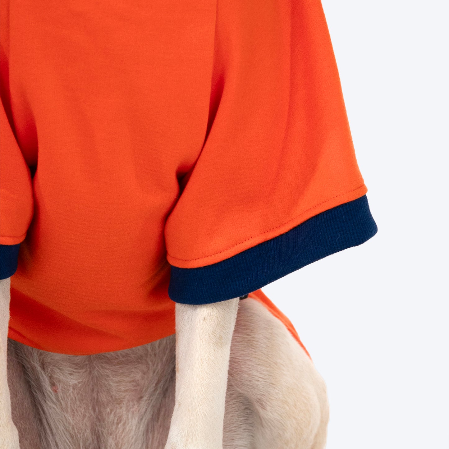 HUFT Good Doggo Pet Sweatshirt - Orange - Heads Up For Tails