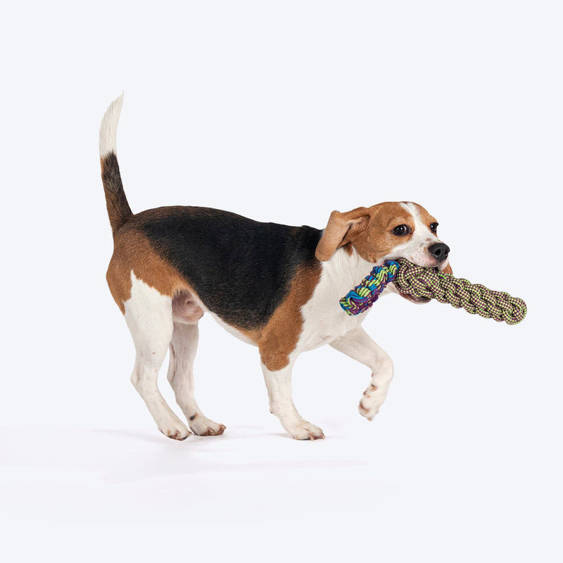 Dash Dog Tug-It-Out Bungee Rope Toy For Dog - Green - Heads Up For Tails