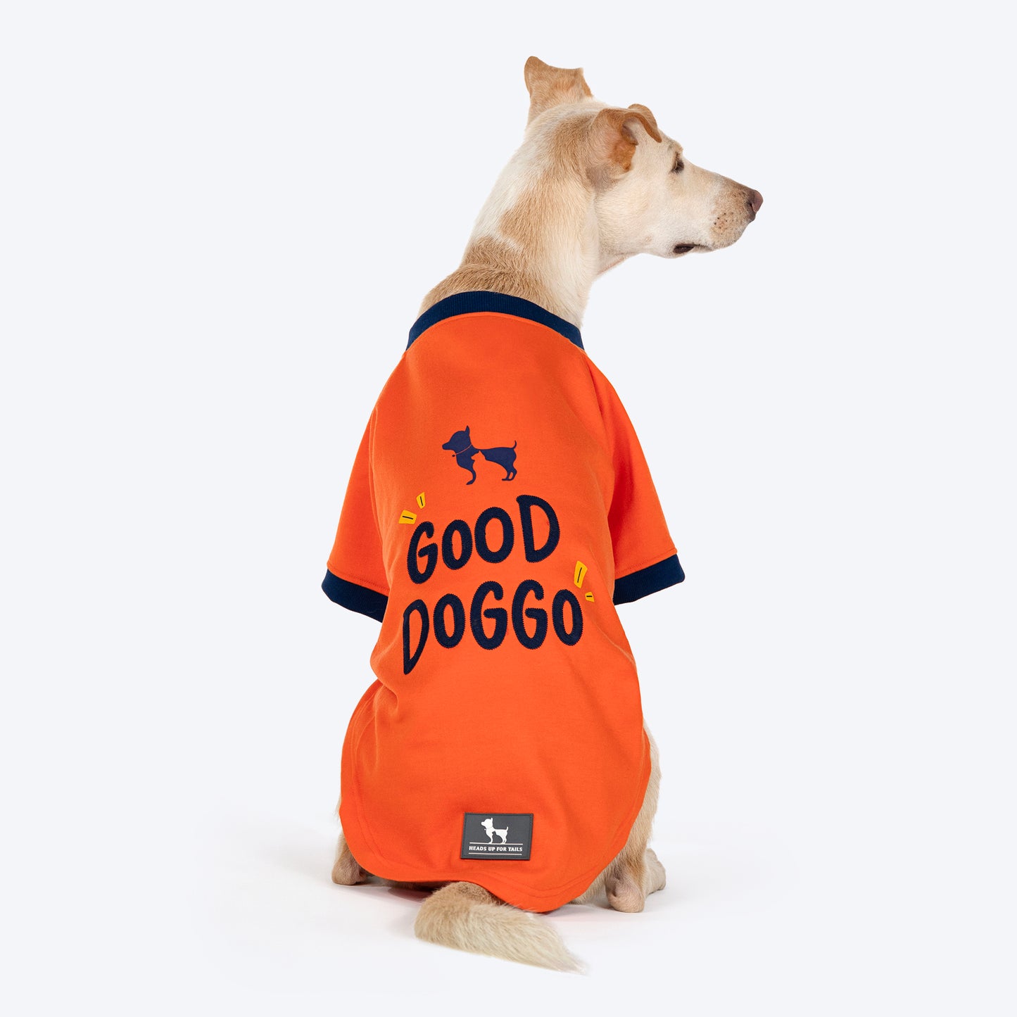HUFT Good Doggo Pet Sweatshirt - Orange - Heads Up For Tails