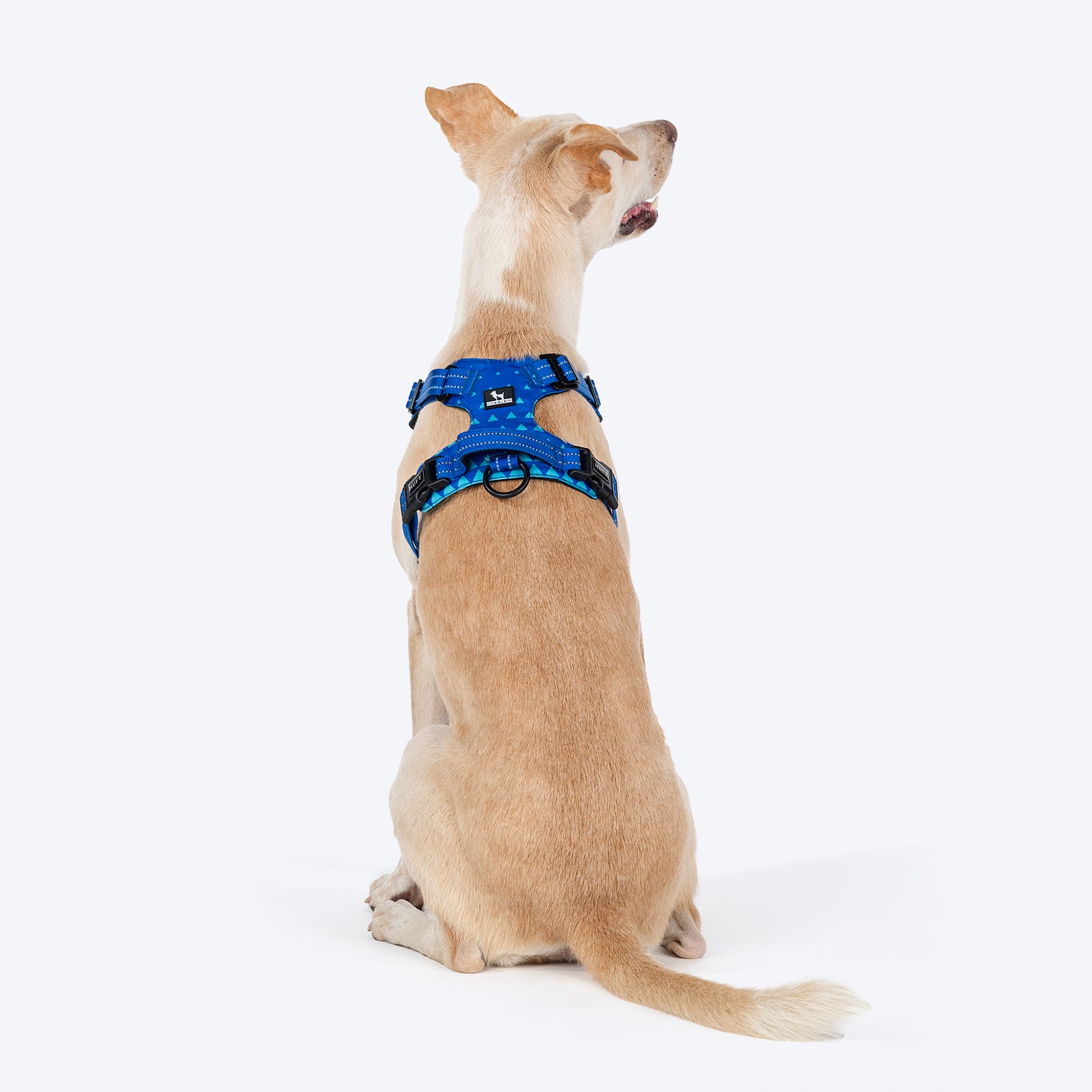 HUFT Walk Light Harness For Dog - Azure Blue - Heads Up For Tails