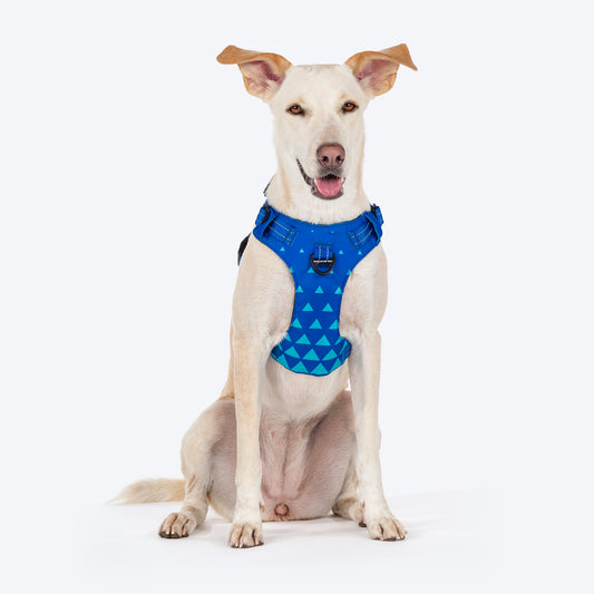 HUFT Walk Light Harness For Dog - Azure Blue - Heads Up For Tails
