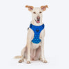 HUFT Walk Light Harness For Dog - Azure Blue - Heads Up For Tails