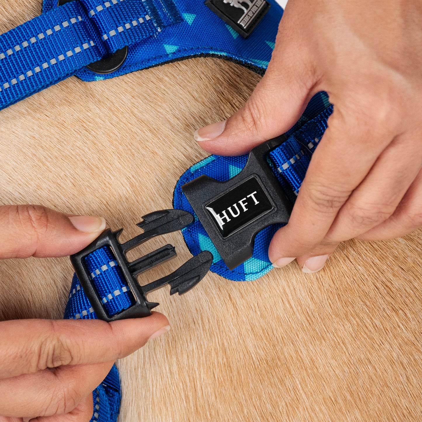 HUFT Walk Light Harness For Dog - Azure Blue - Heads Up For Tails