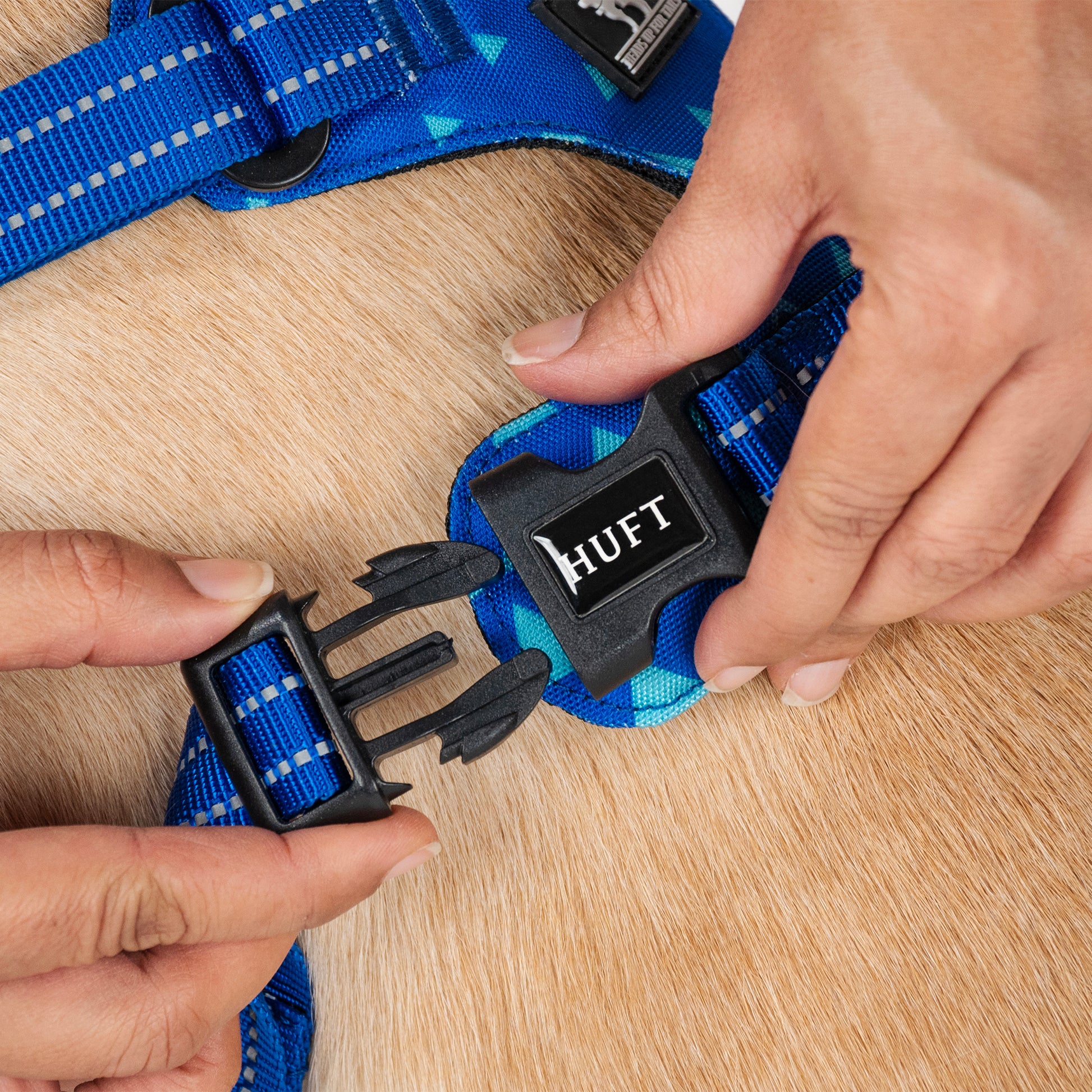 HUFT Walk Light Harness For Dog - Azure Blue - Heads Up For Tails