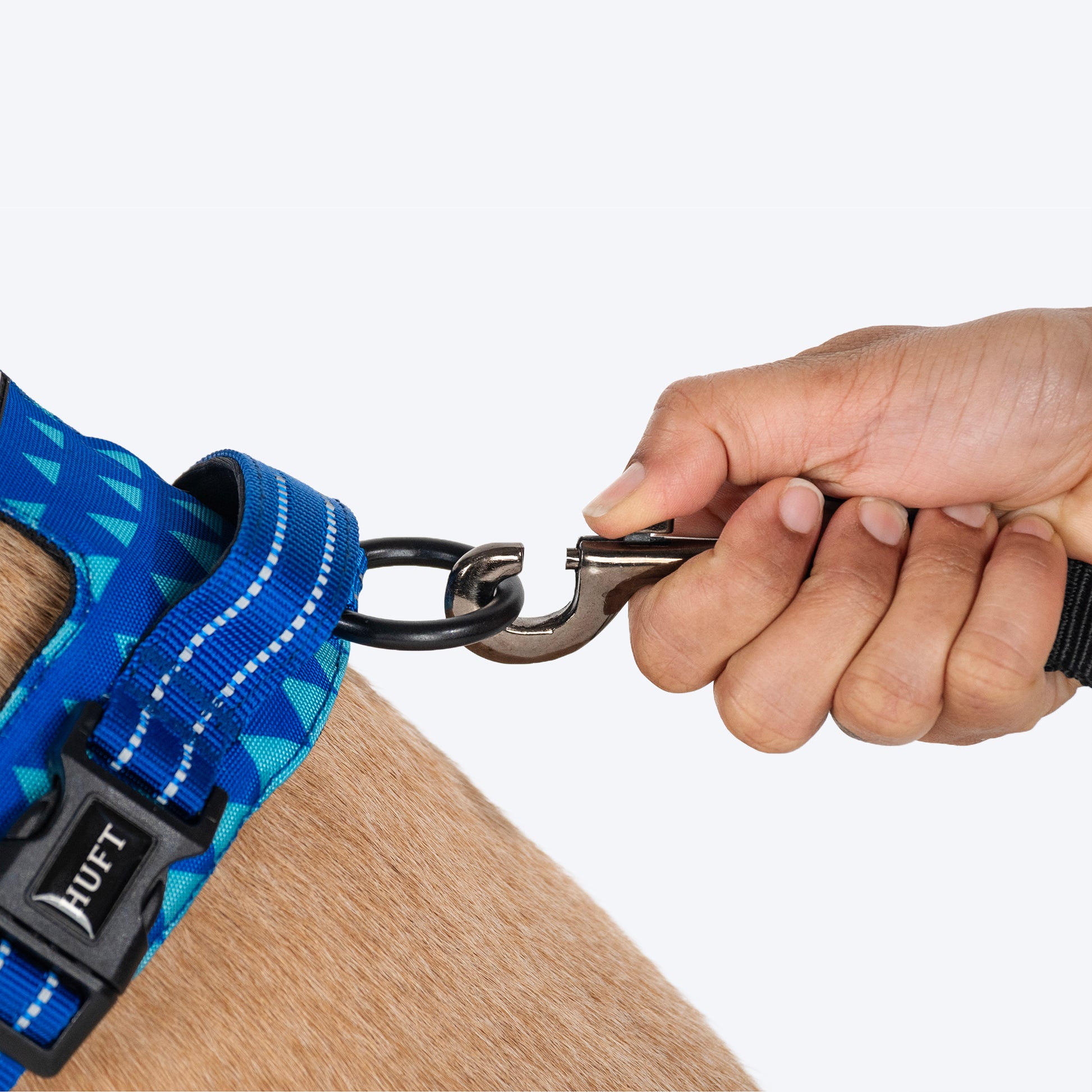HUFT Walk Light Harness For Dog - Azure Blue - Heads Up For Tails