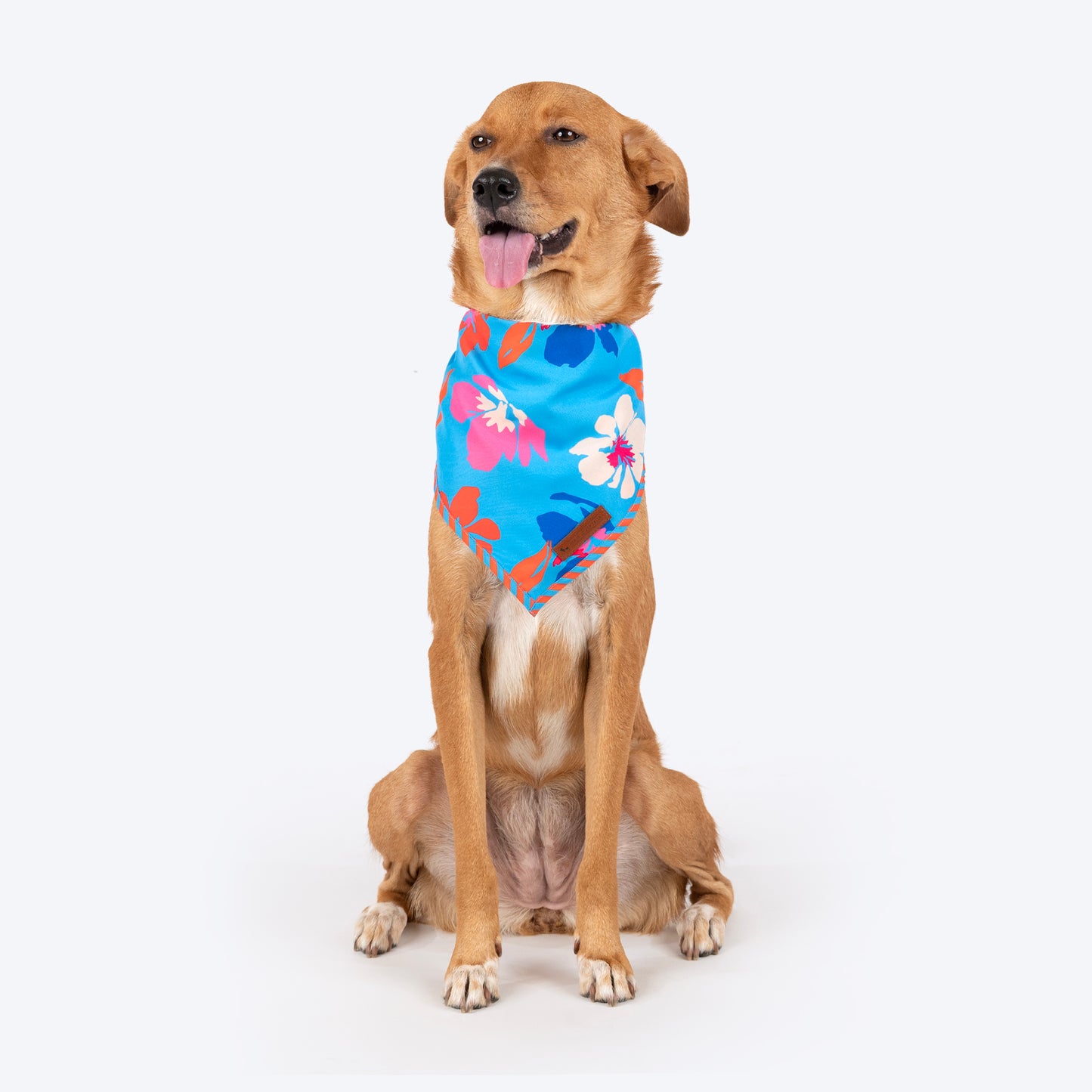 HUFT Summer Bloom Knot Bandana For Dog - Blue - Heads Up For Tails
