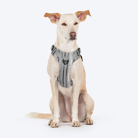 HUFT Walk Light Harness For Dog - Sterling Grey - Heads Up For Tails