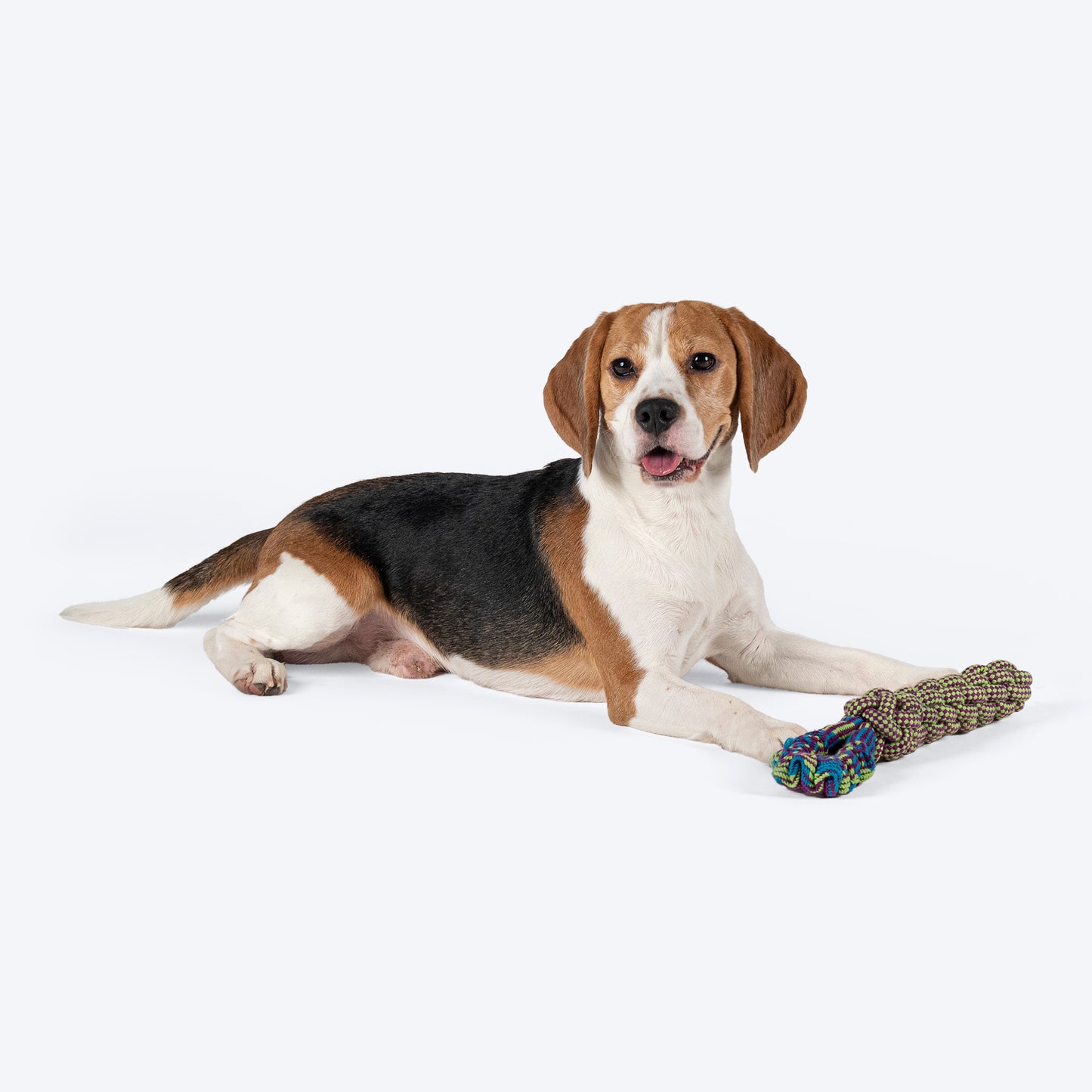 Dash Dog Tug-It-Out Bungee Rope Toy For Dog - Green - Heads Up For Tails