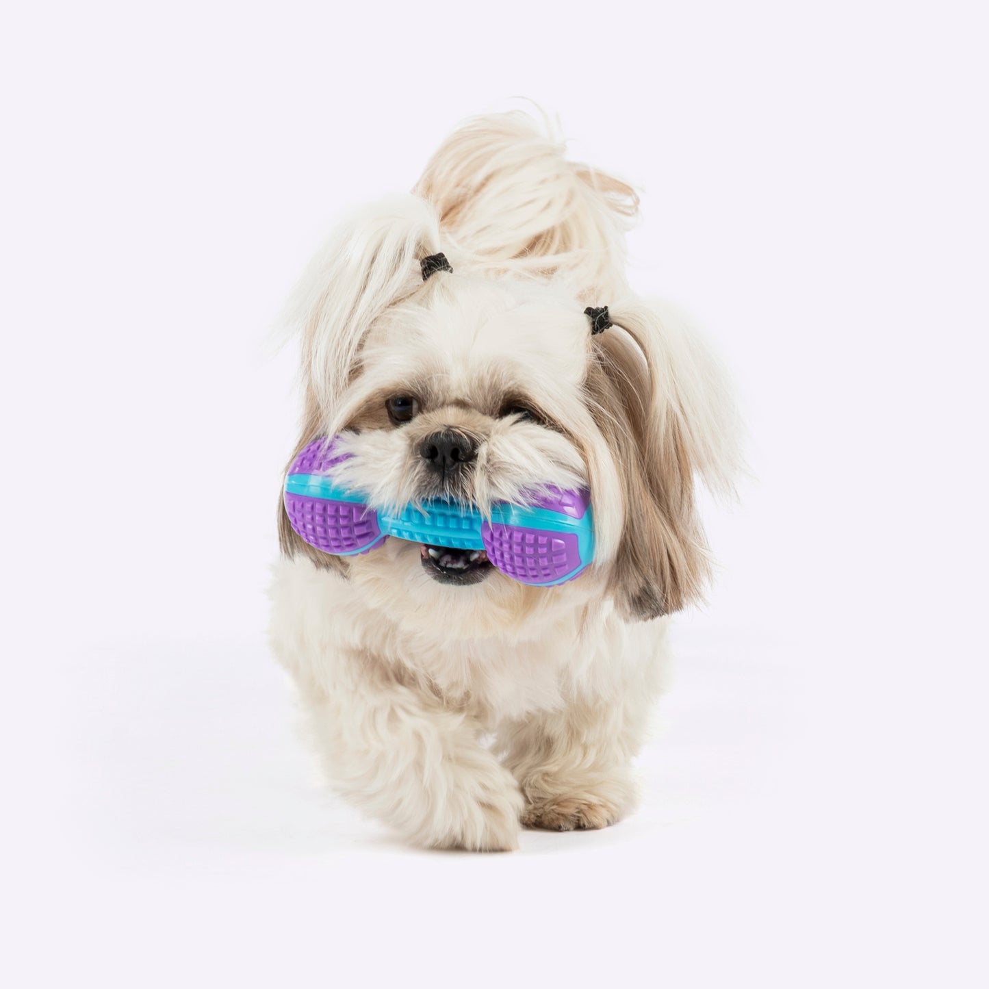 Dash Dog Gnaw & Go Squeaky Toy For Dog - Purple & Blue - Heads Up For Tails