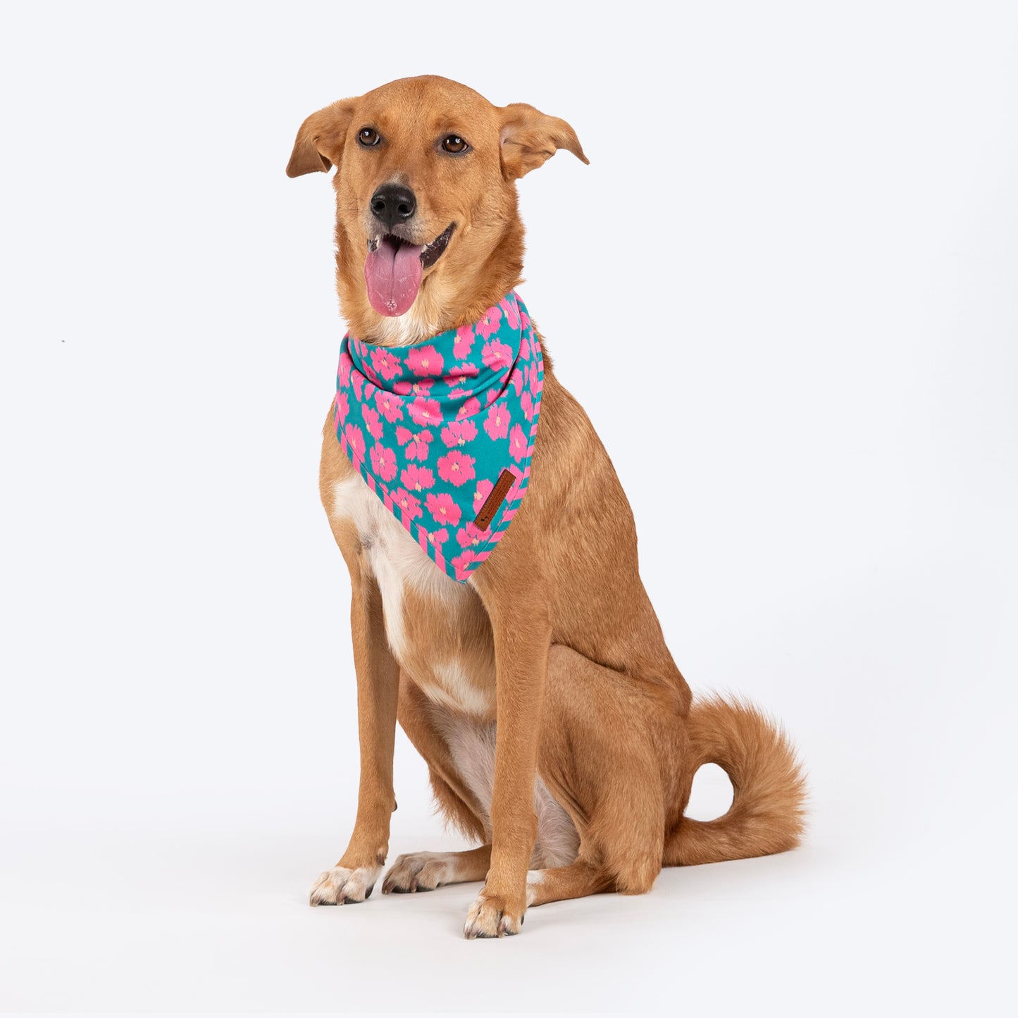 HUFT Pawsome Blossom Knot Bandana For Dog - Green & Pink - Heads Up For Tails
